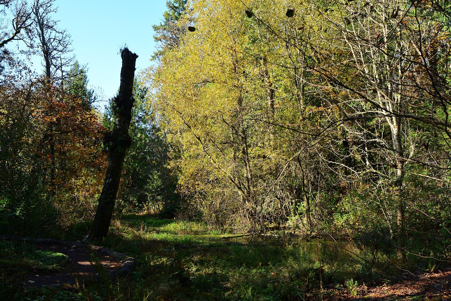 Bellevue Botanical Garden