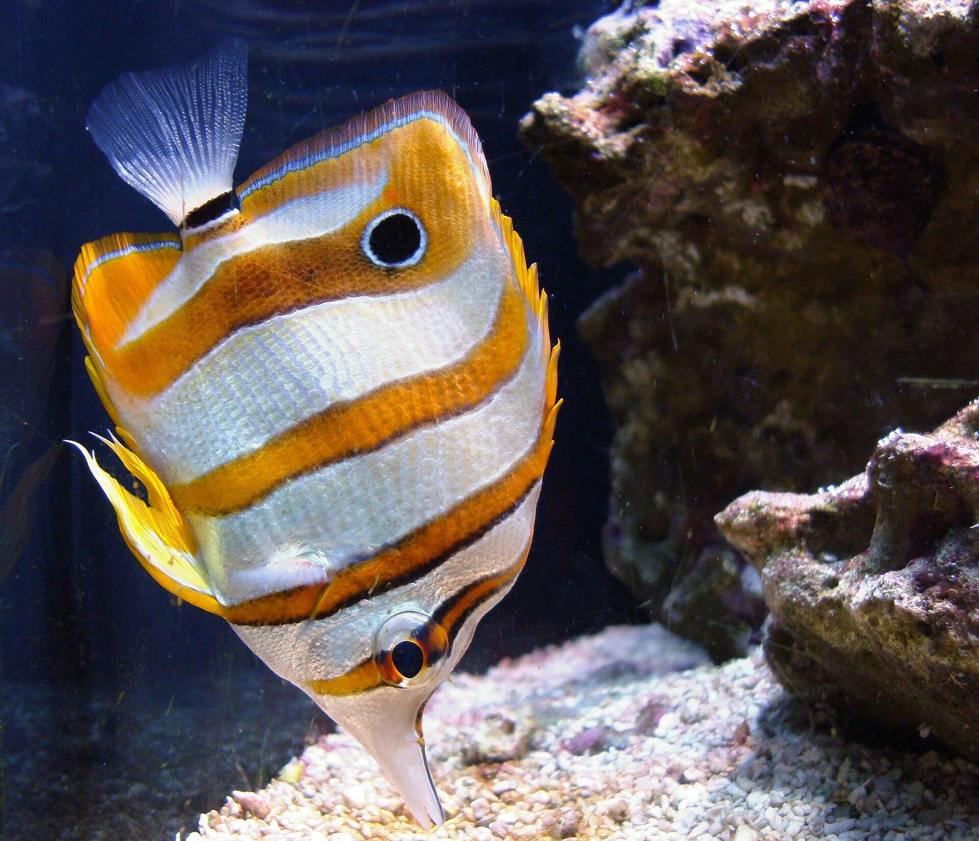 Seattle Aquarium