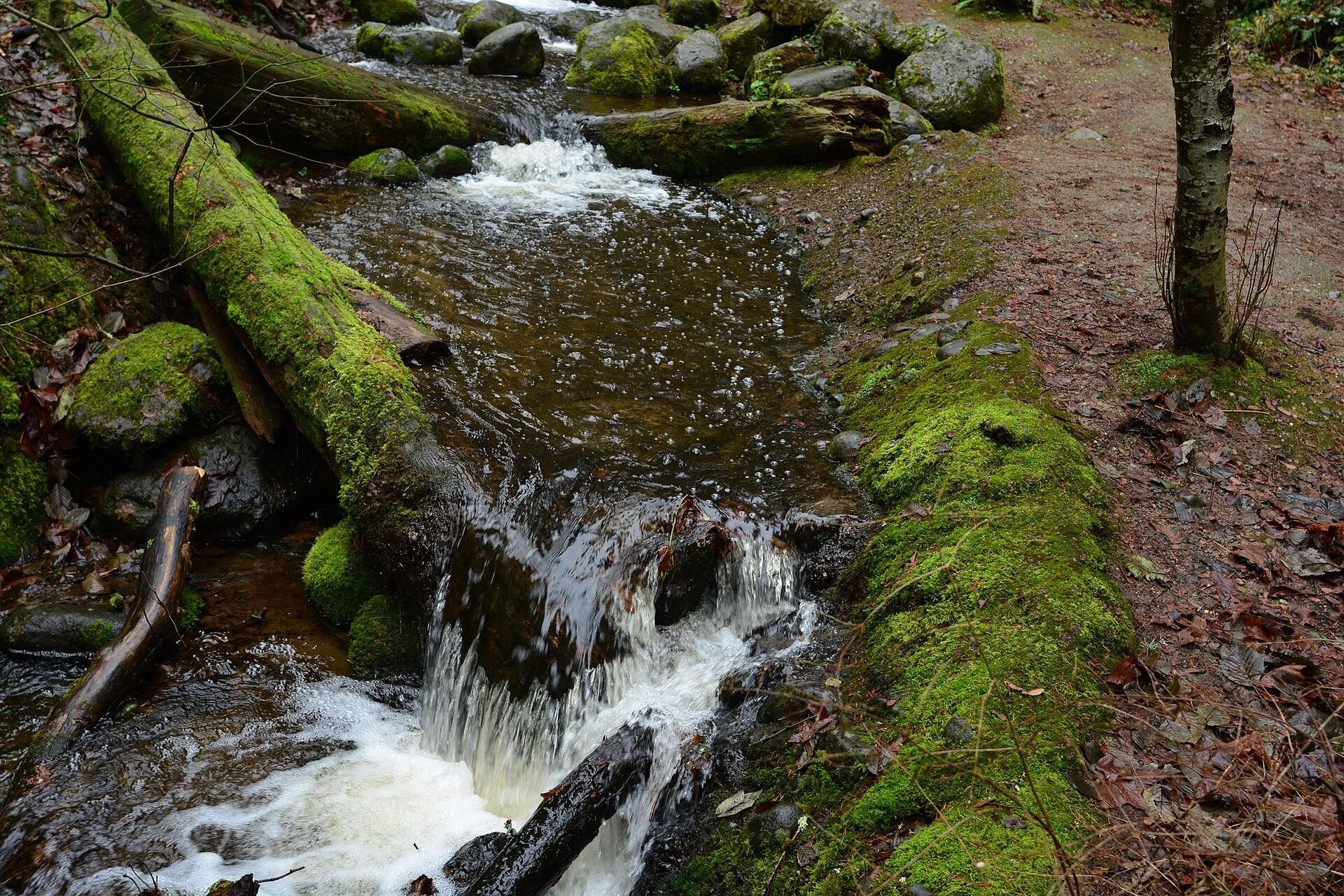 Weowna Park