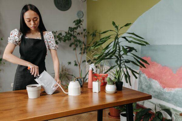 砧板会窝藏细菌 用两种天然物品可有效清理