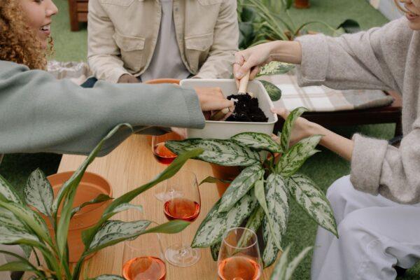希臘波菜派也可做成早餐三明治 創意料理真開胃