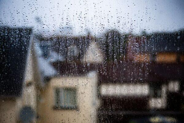 西雅圖雨季驗房紅旗：看房必查的潮濕、漏水、發霉與排水隱患